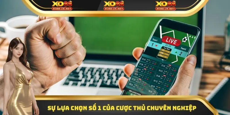 Sự lựa chọn số 1 của nhiều cược thủ chuyên nghiệp